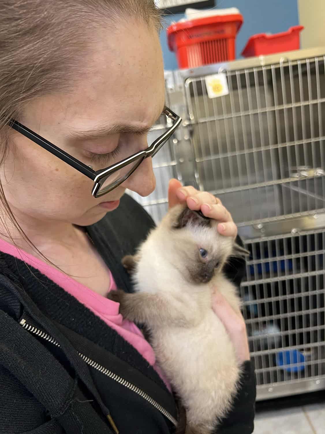 Volunteer holding a foster kitten