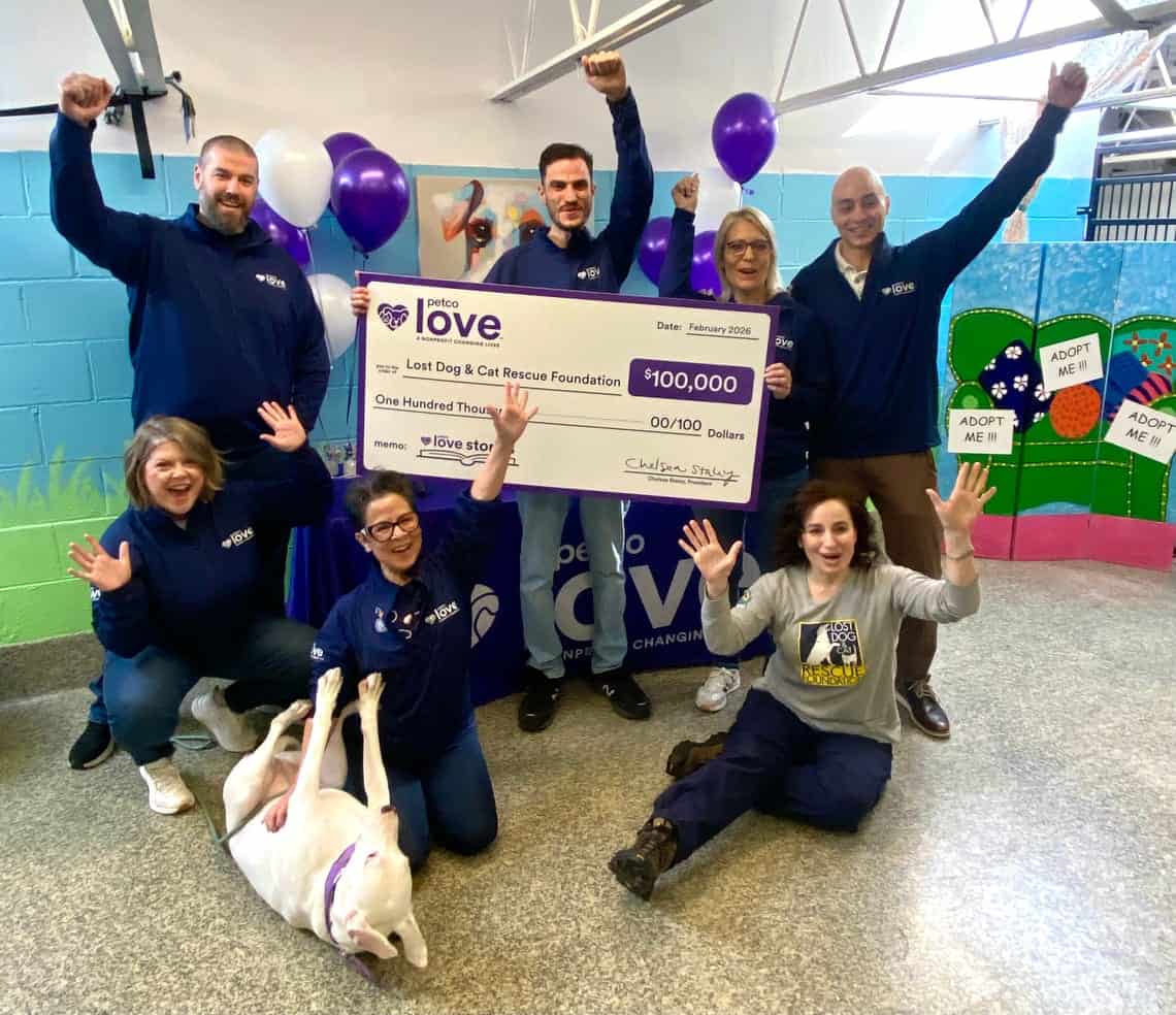 ‘Love Story’ Garners Community Grant for All the Paws Animal Rescue